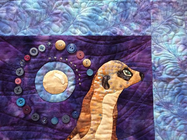 moon-over-meerkat-4